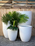 Base Tall Smooth Pot Dark Grey Small - compact lightweight tall pot