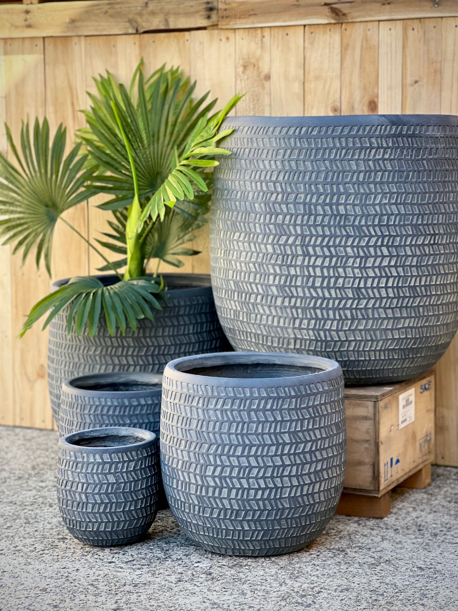 IMPRESSIONS - Indoor or Outdoor  Fiberclay Lightweight Pot with a Print