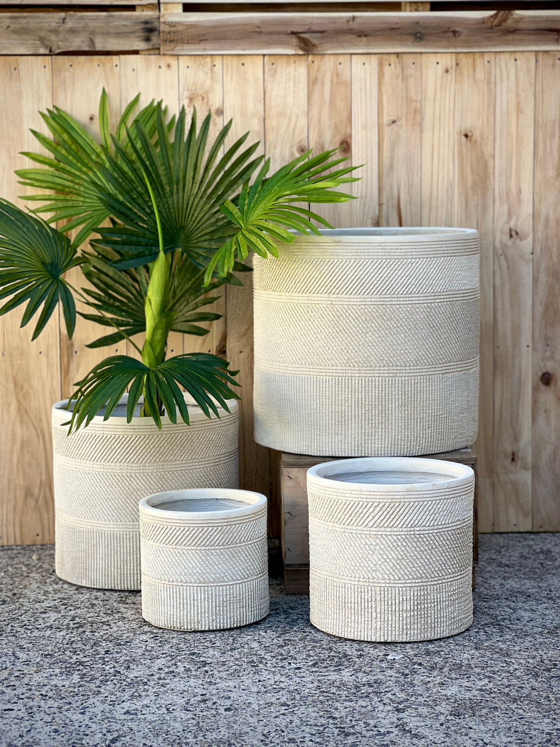 PRINT CYLINDER - Indoor or Outdoor  Cylinder Fiberclay Lightweight Pot with a Print NL02