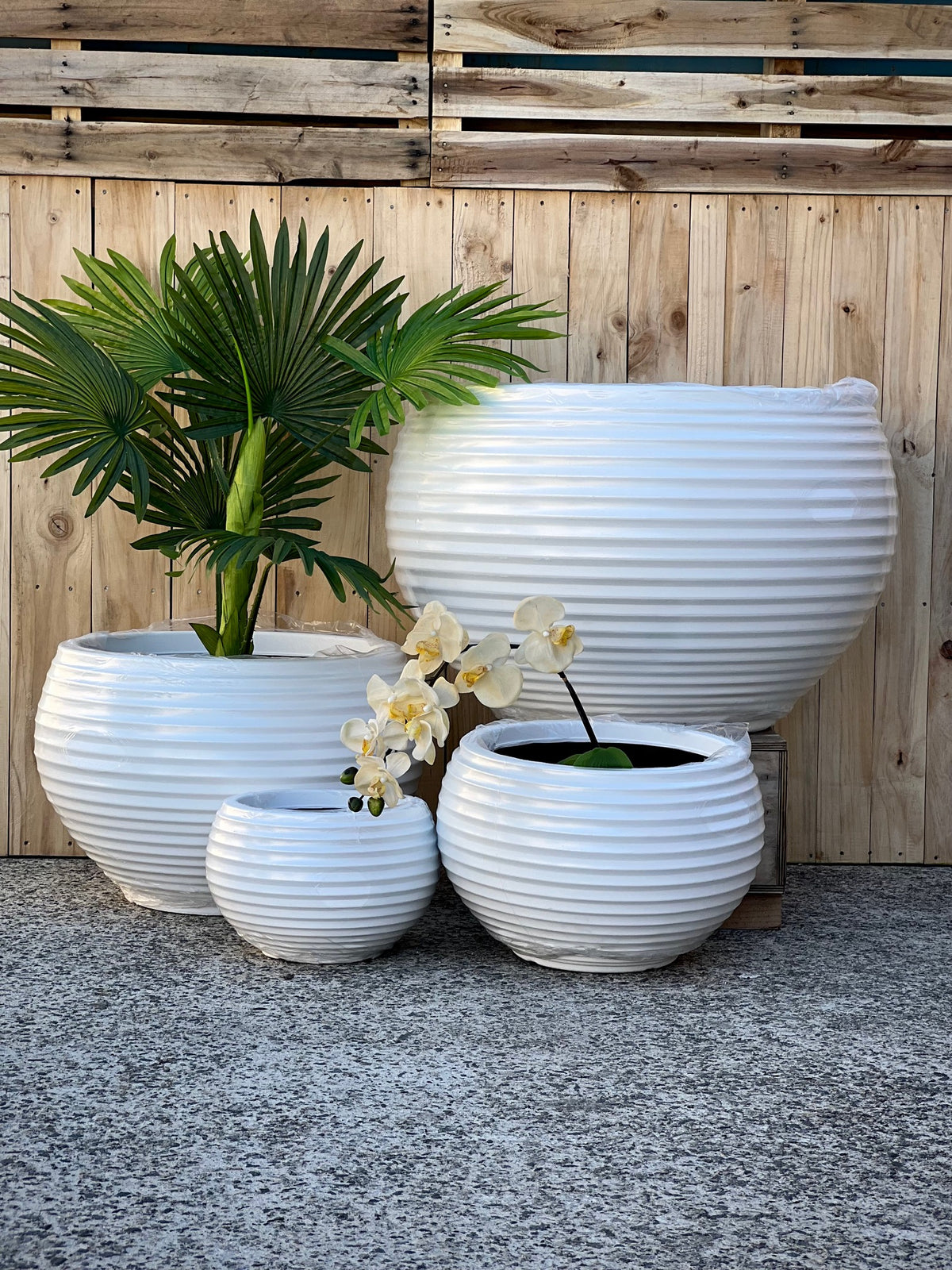 RippleLite Bowl styled with plants - wide ribbed coastal pot