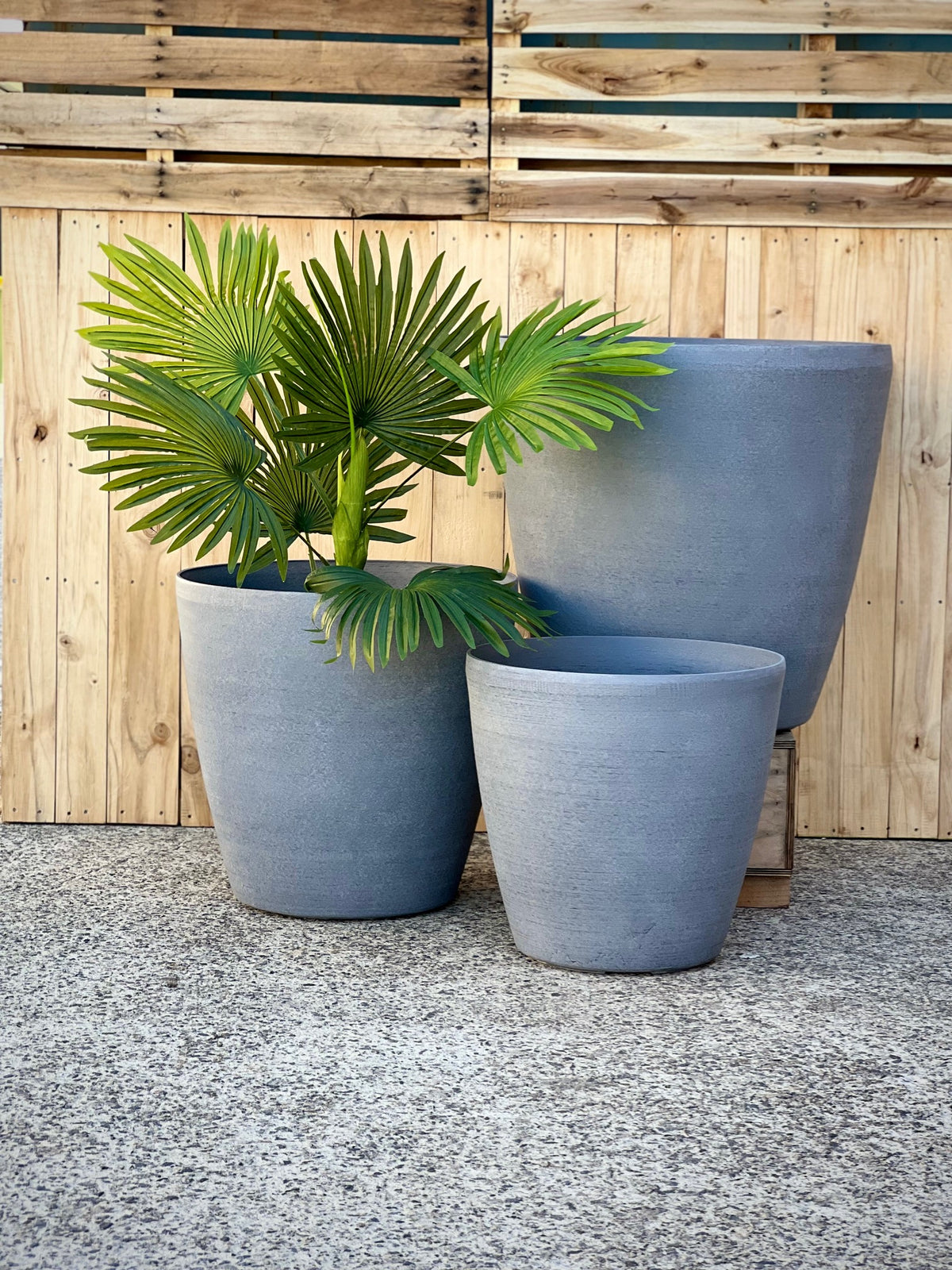2001 Maxi Pot lifestyle - large round smooth pot with tree plant