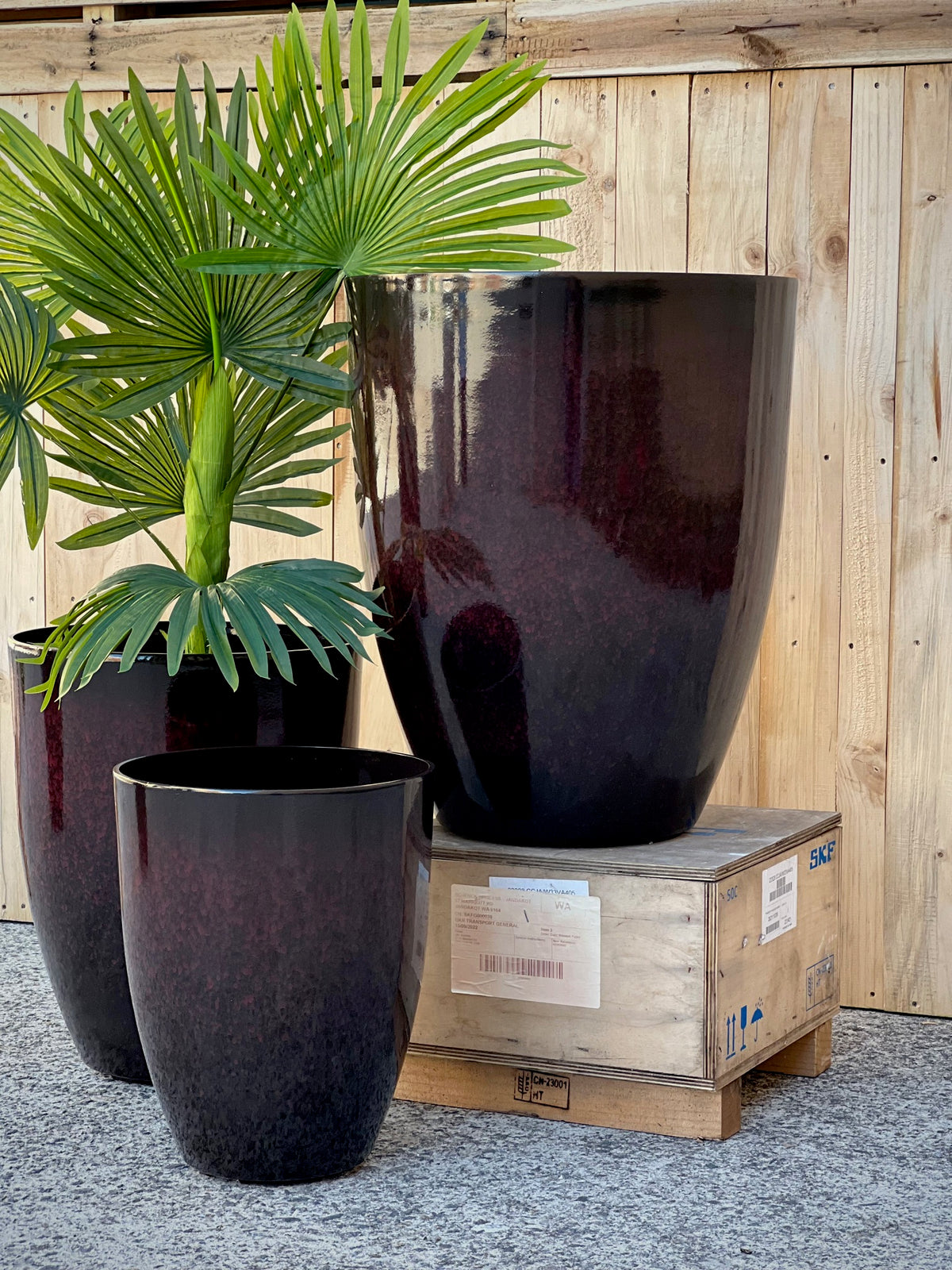Adam Glazed Pot styled outdoors - round glazed pot with plant