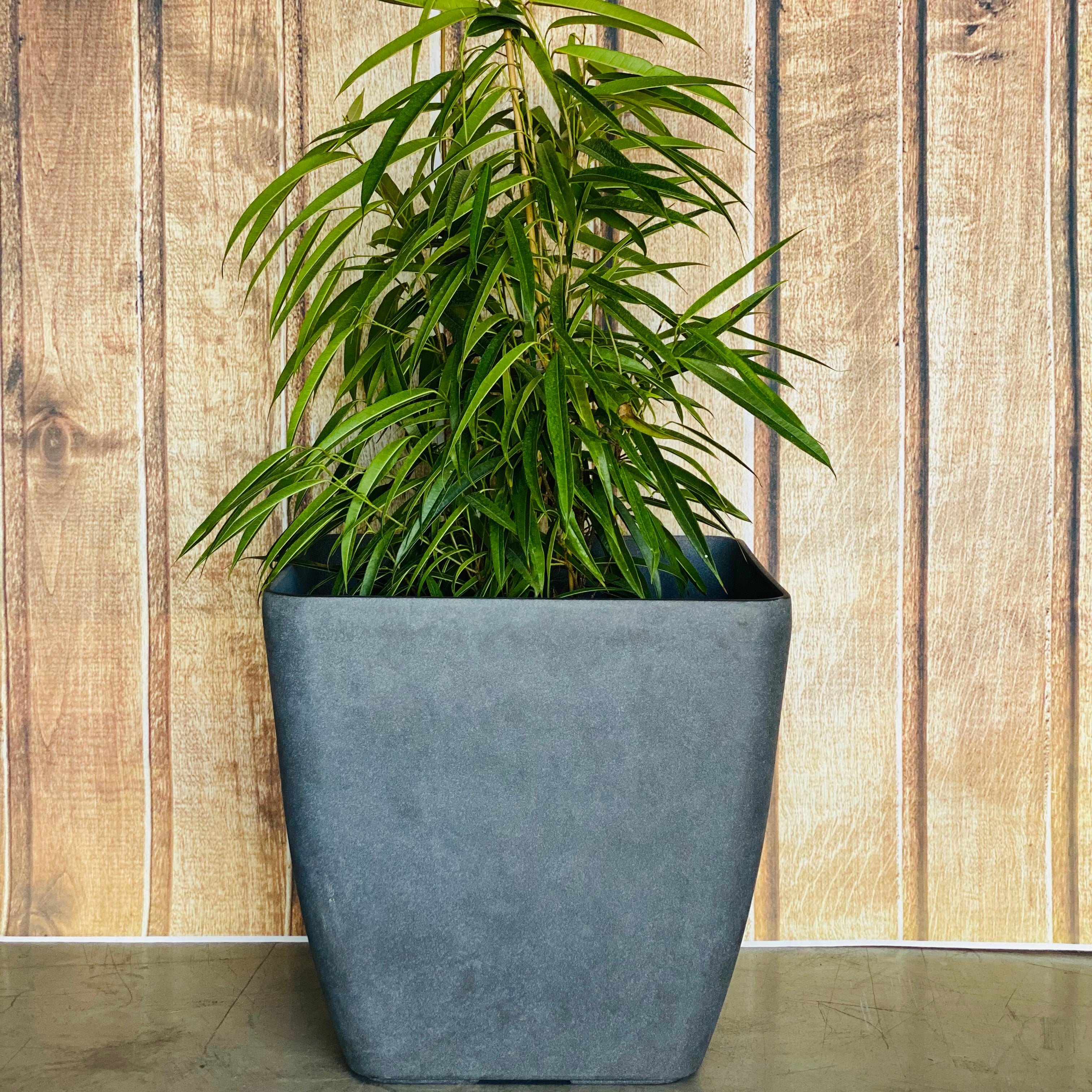 2002 - Square Lightweight Pot