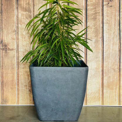 2002 - Square Lightweight Pot