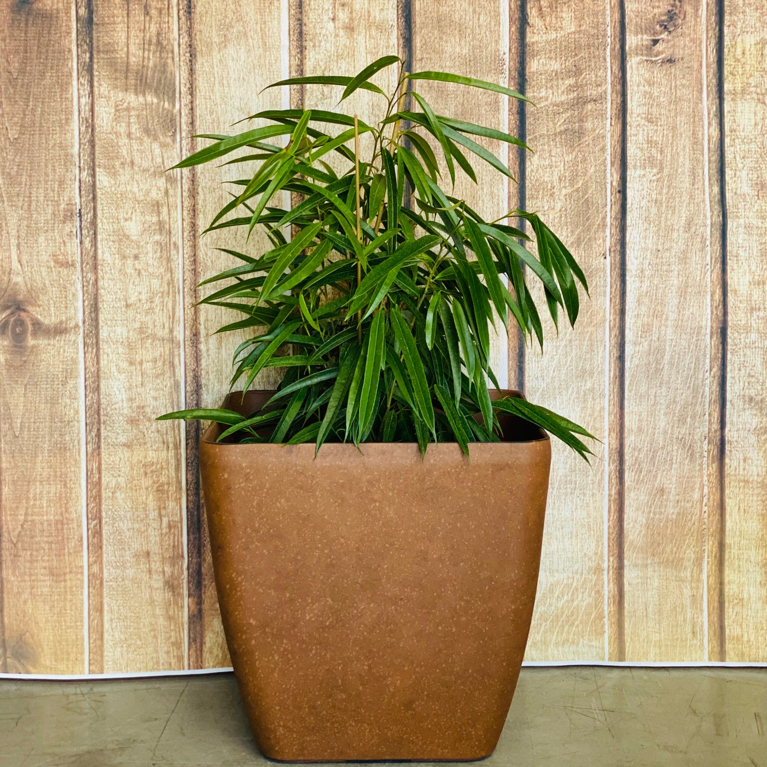 2002 - Square Lightweight Pot