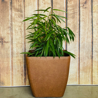 2002 - Square Lightweight Pot