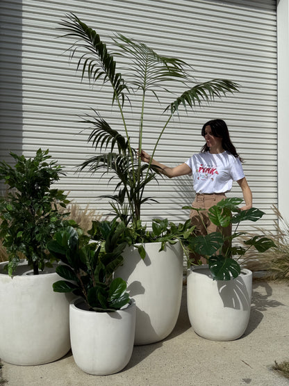 BIG BUDDHA Lightweight Round Pot – Indoor &amp; Outdoor Statement Planter (Fibreglass/Clay Blend) - 101