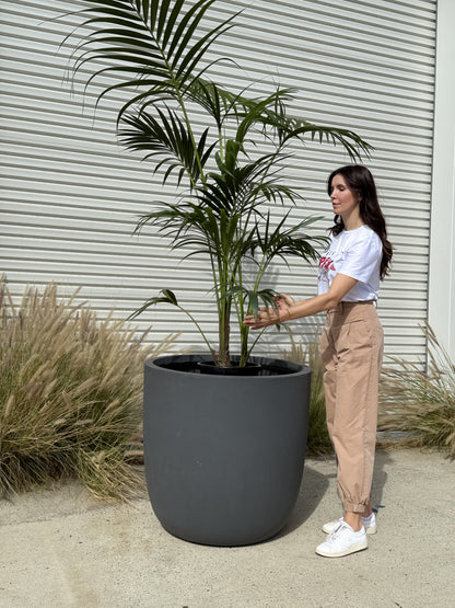 BIG BUDDHA Lightweight Round Pot – Indoor &amp; Outdoor Statement Planter (Fibreglass/Clay Blend) - 101