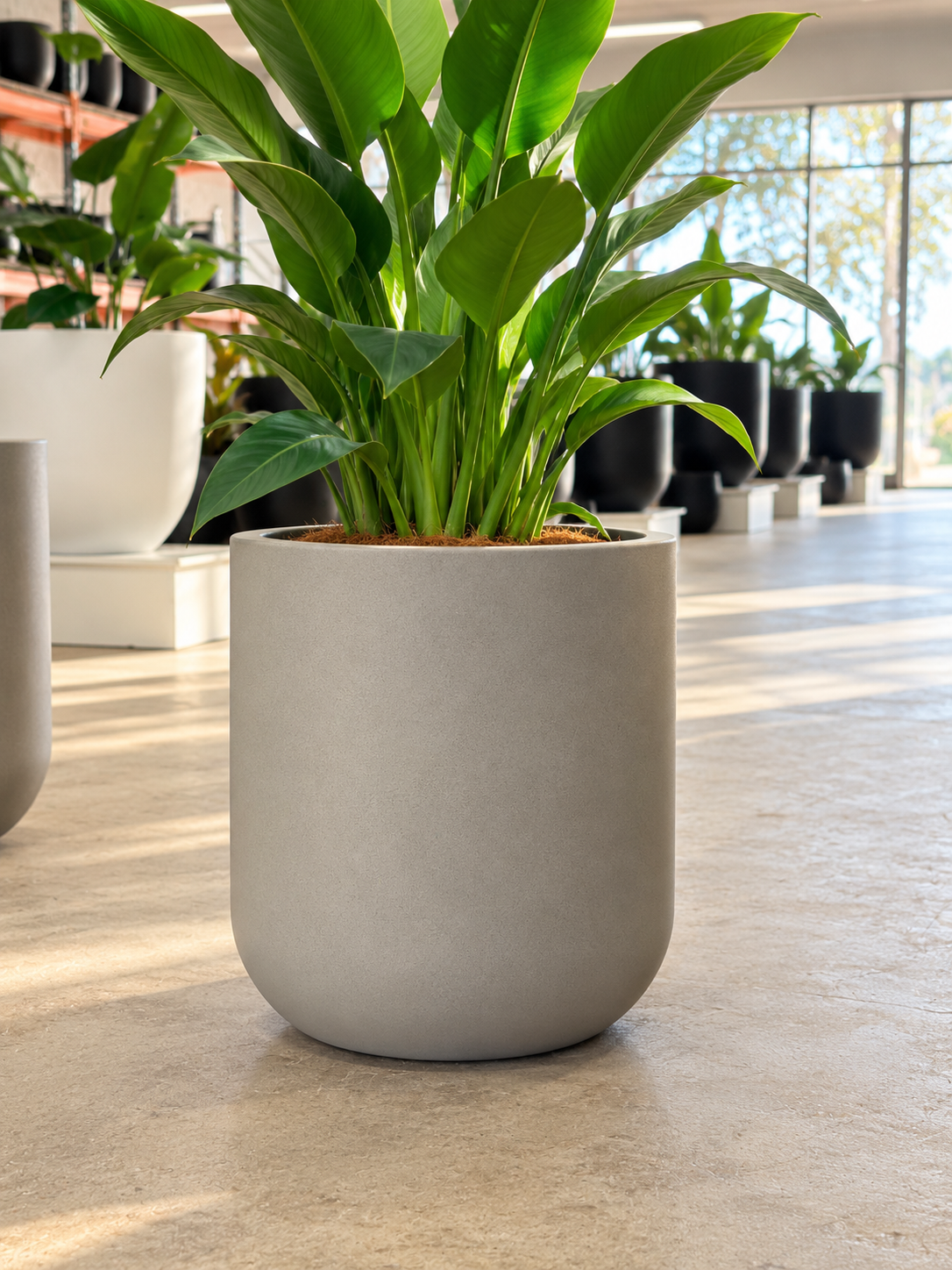 HUDSON Planter - Indoor and Outdoor Lightweight Pot