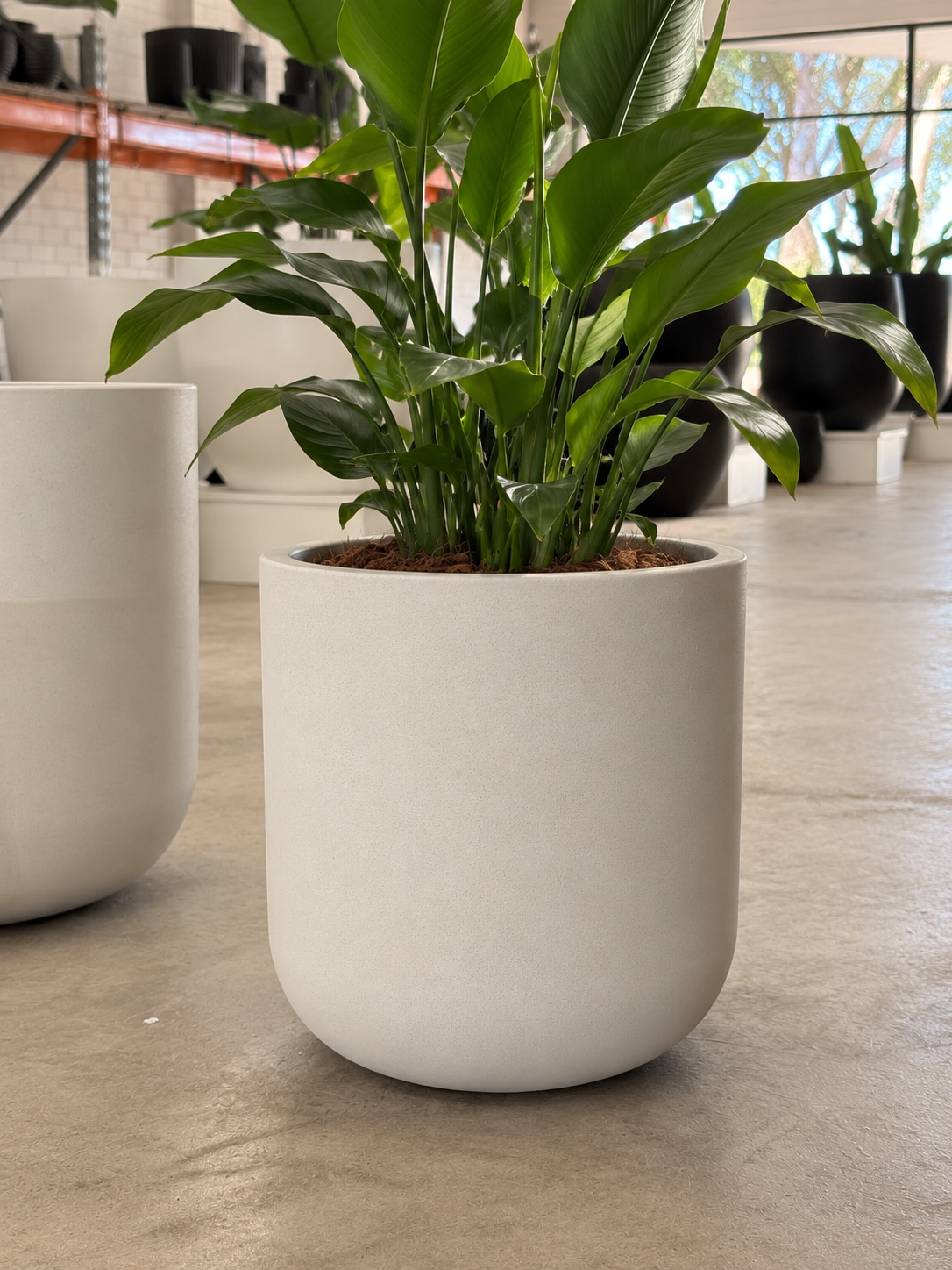 HUDSON Planter - Indoor and Outdoor Lightweight Pot