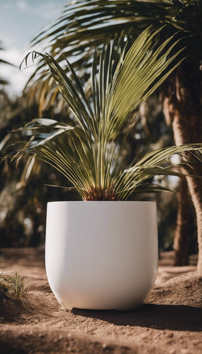 BIG BUDDHA Lightweight Round Pot – Indoor &amp; Outdoor Statement Planter (Fibreglass/Clay Blend) - 101