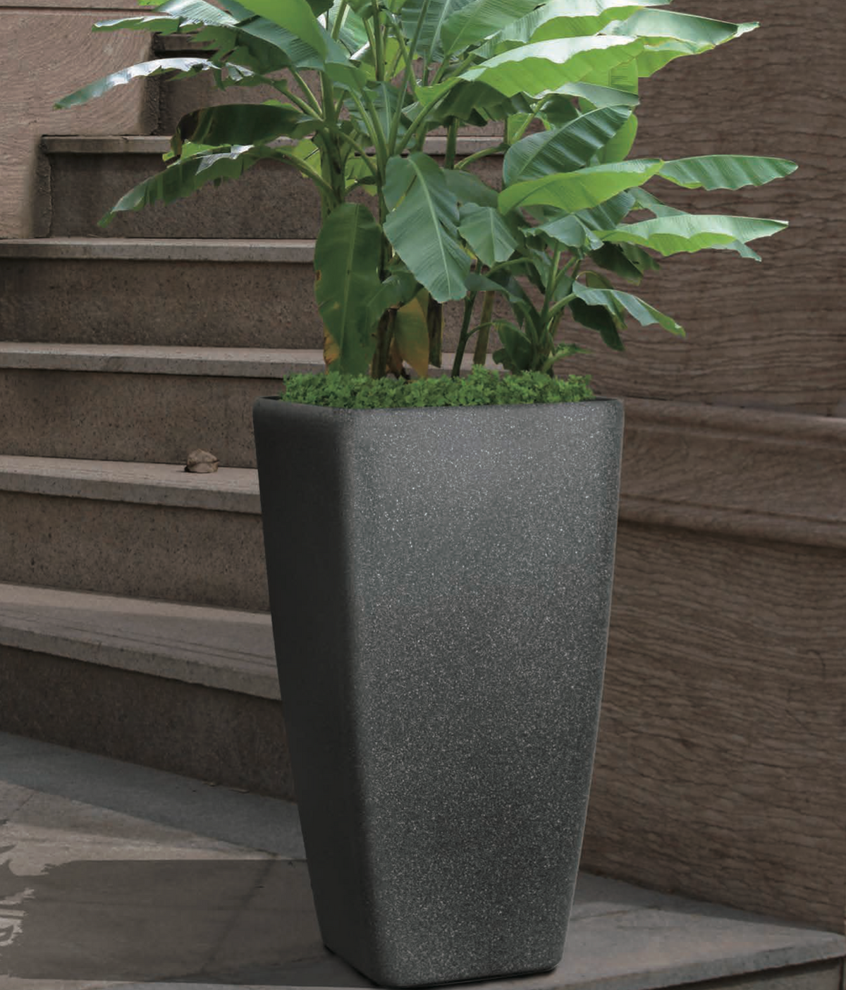 2005 Eva Stone Pot Cream Stone Large - tall square stone finish lightweight pot