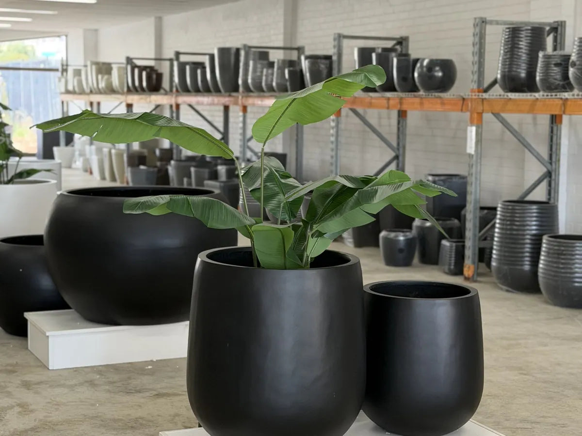 Black lightweight planters with plants at Wangara