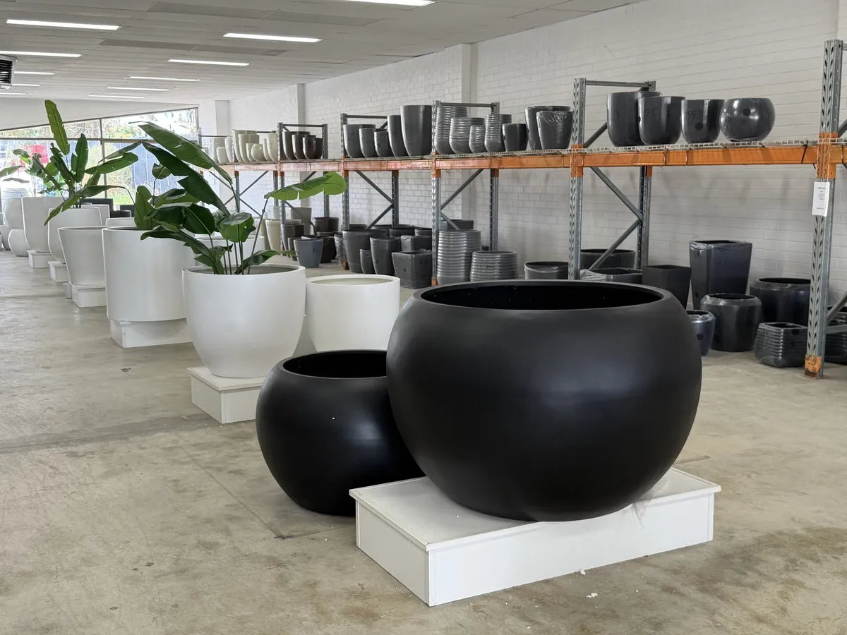 Large black bowl planter at Lightweight Pots WA Wangara