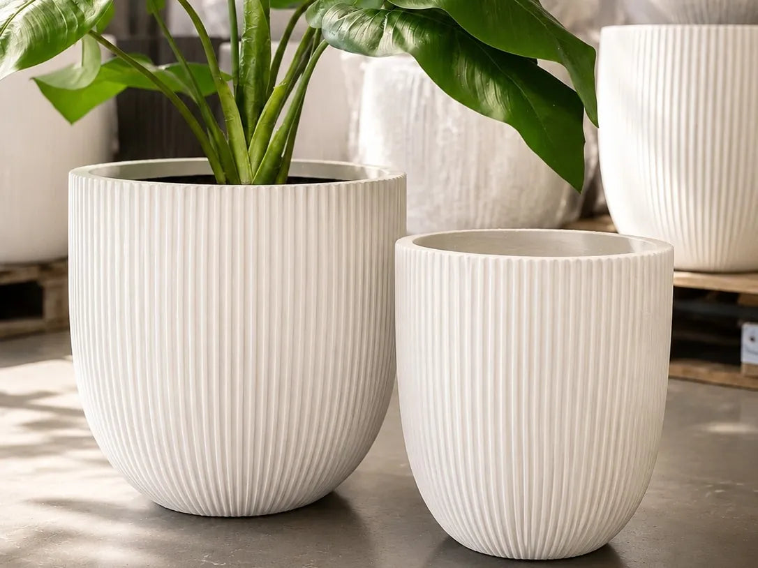 White ribbed lightweight pots at O’Connor, Perth