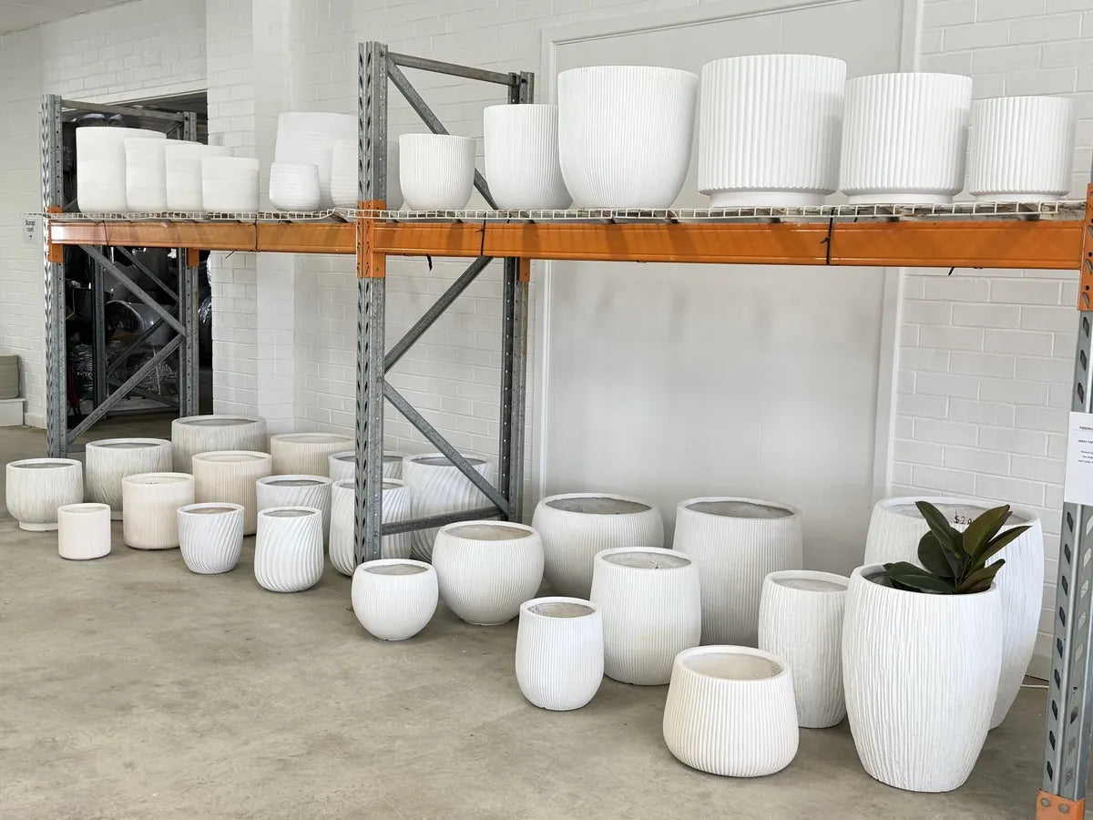 White lightweight pots display at Wangara