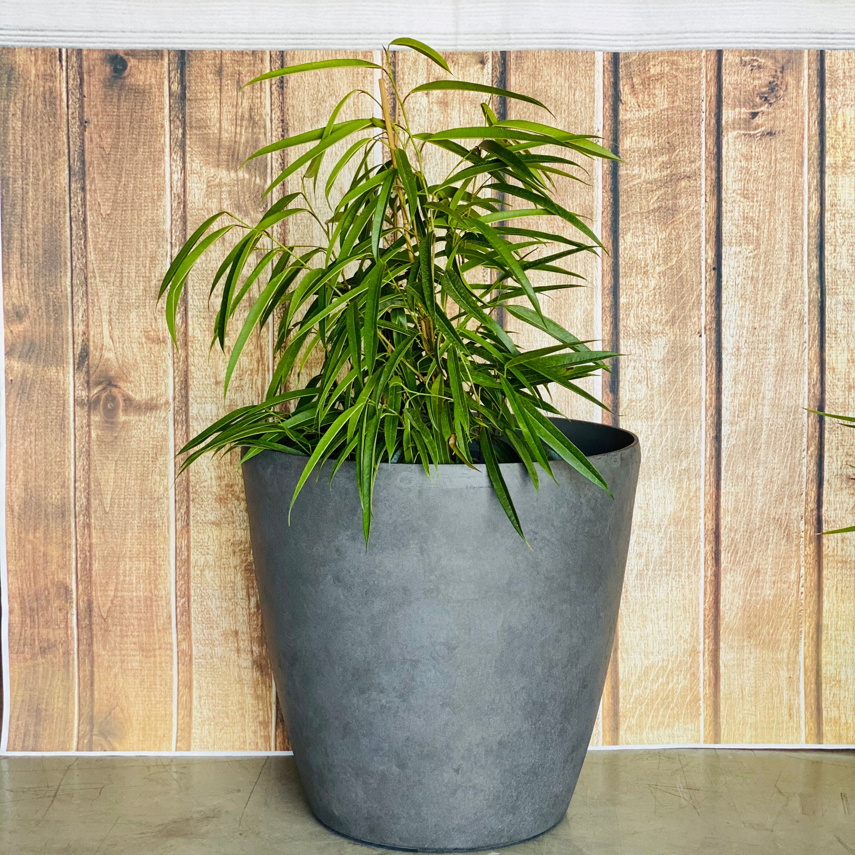 2001 Maxi Pot Grey Artisan Large - smooth finish composite lightweight pot