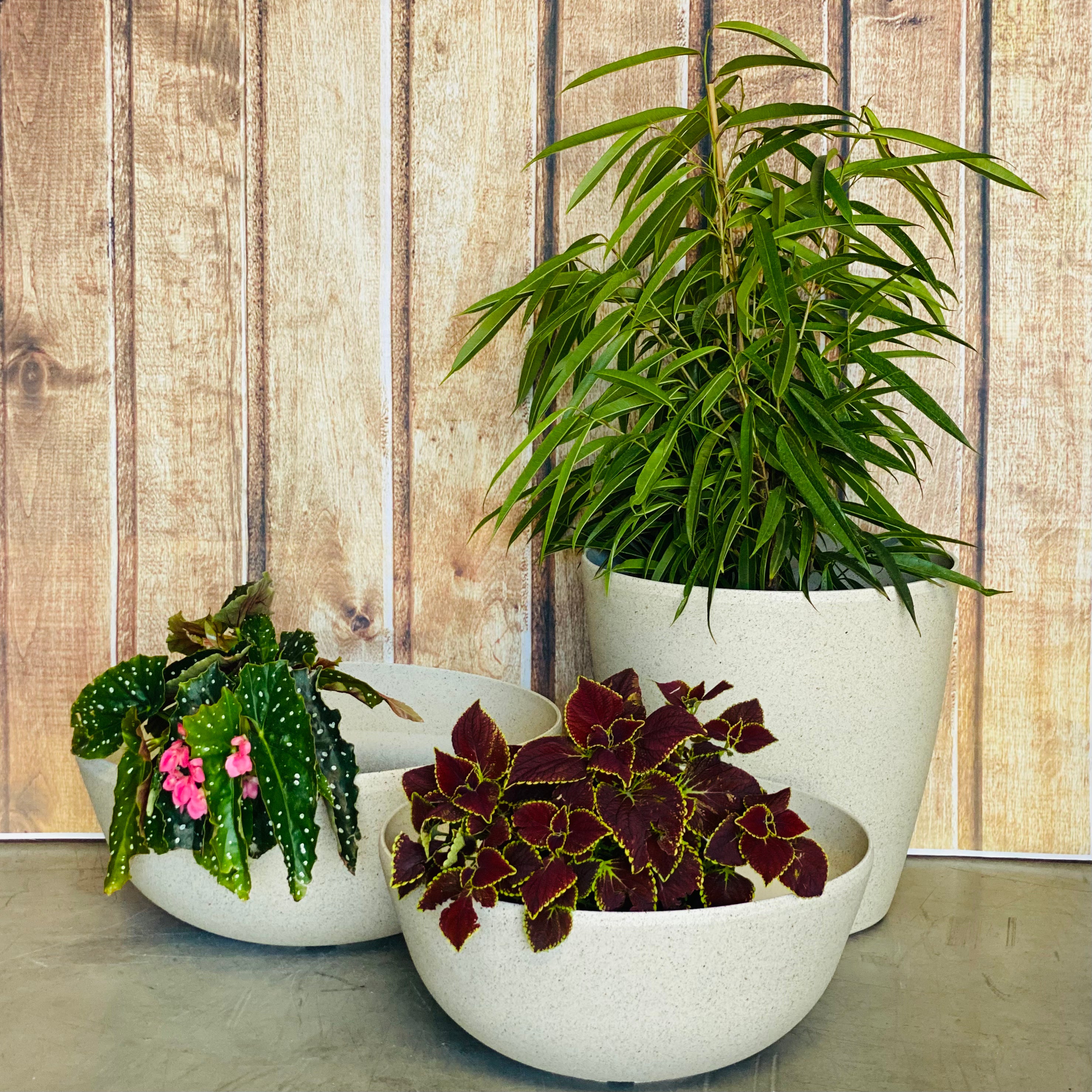 2001 Maxi Stone Pot Cream Stone Medium - stone finish composite pot