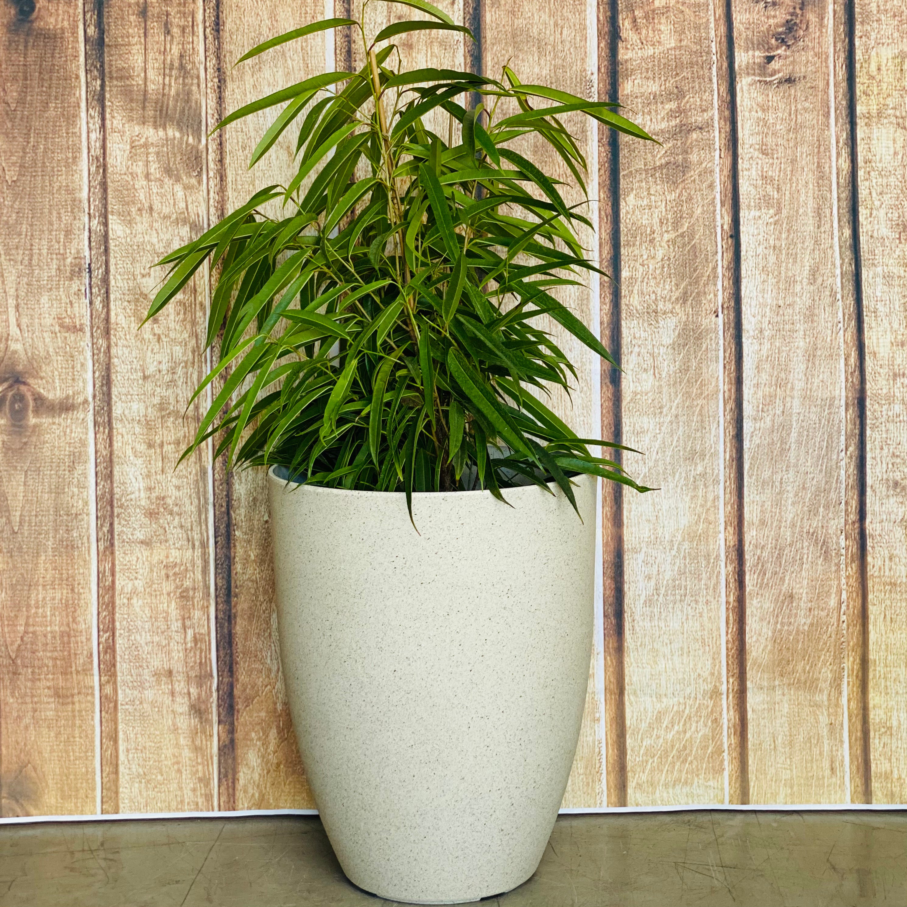 2074 Adam Stone Pot range - Cream and Vintage stone finish lightweight pots