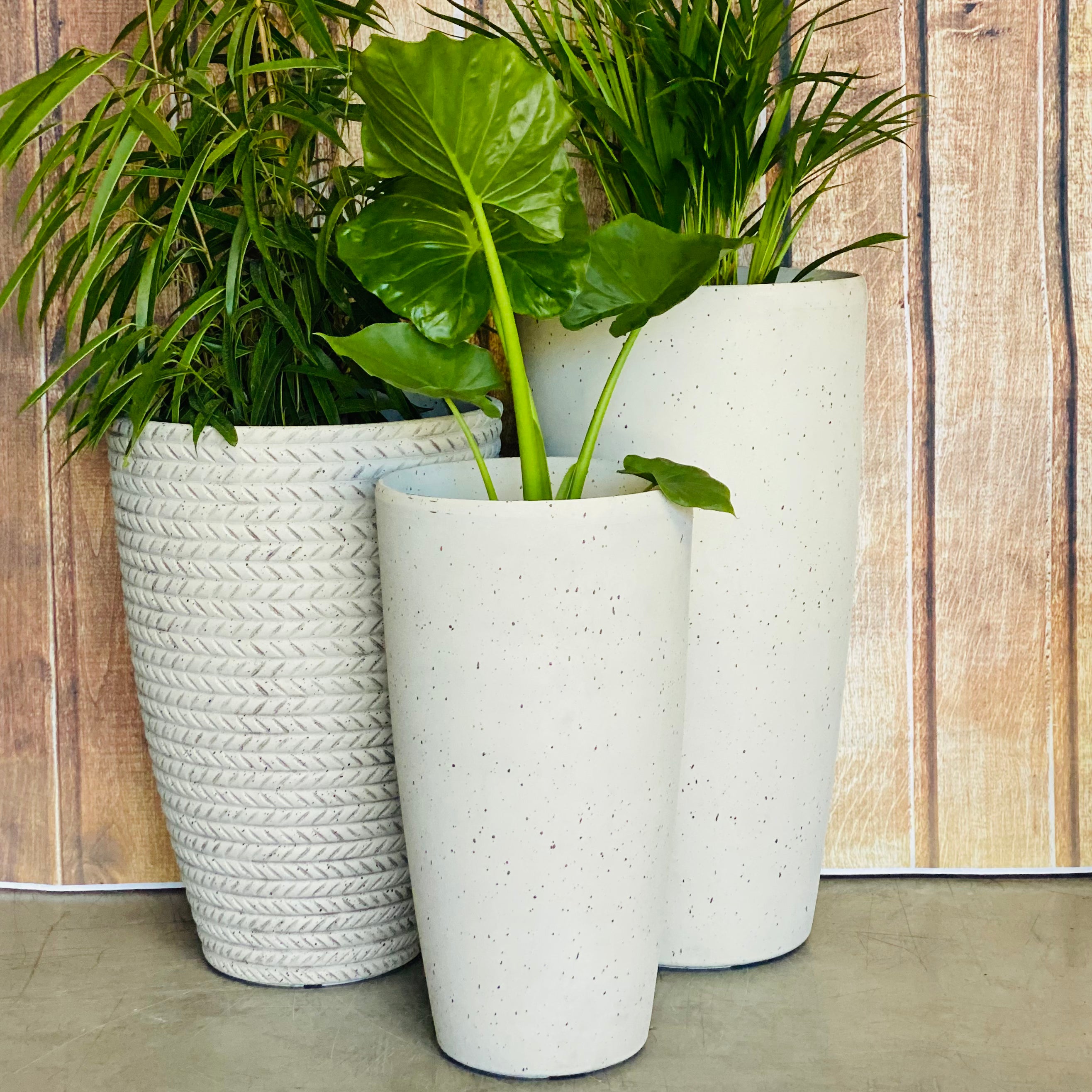 2003 Tolly Pot Husky White Large - tall smooth lightweight pot