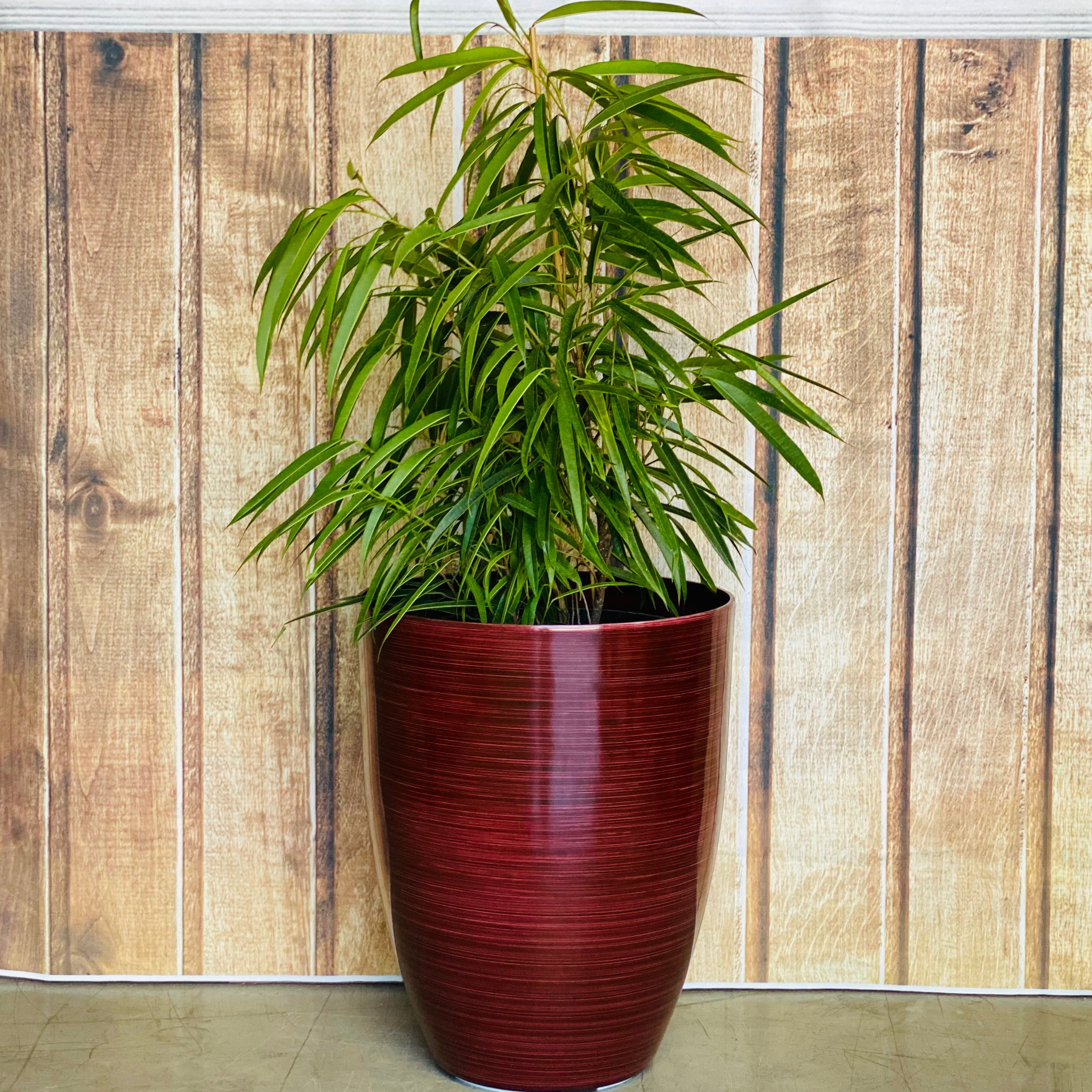 2074 Adam Glazed Pot range - multiple colours glazed lightweight pots