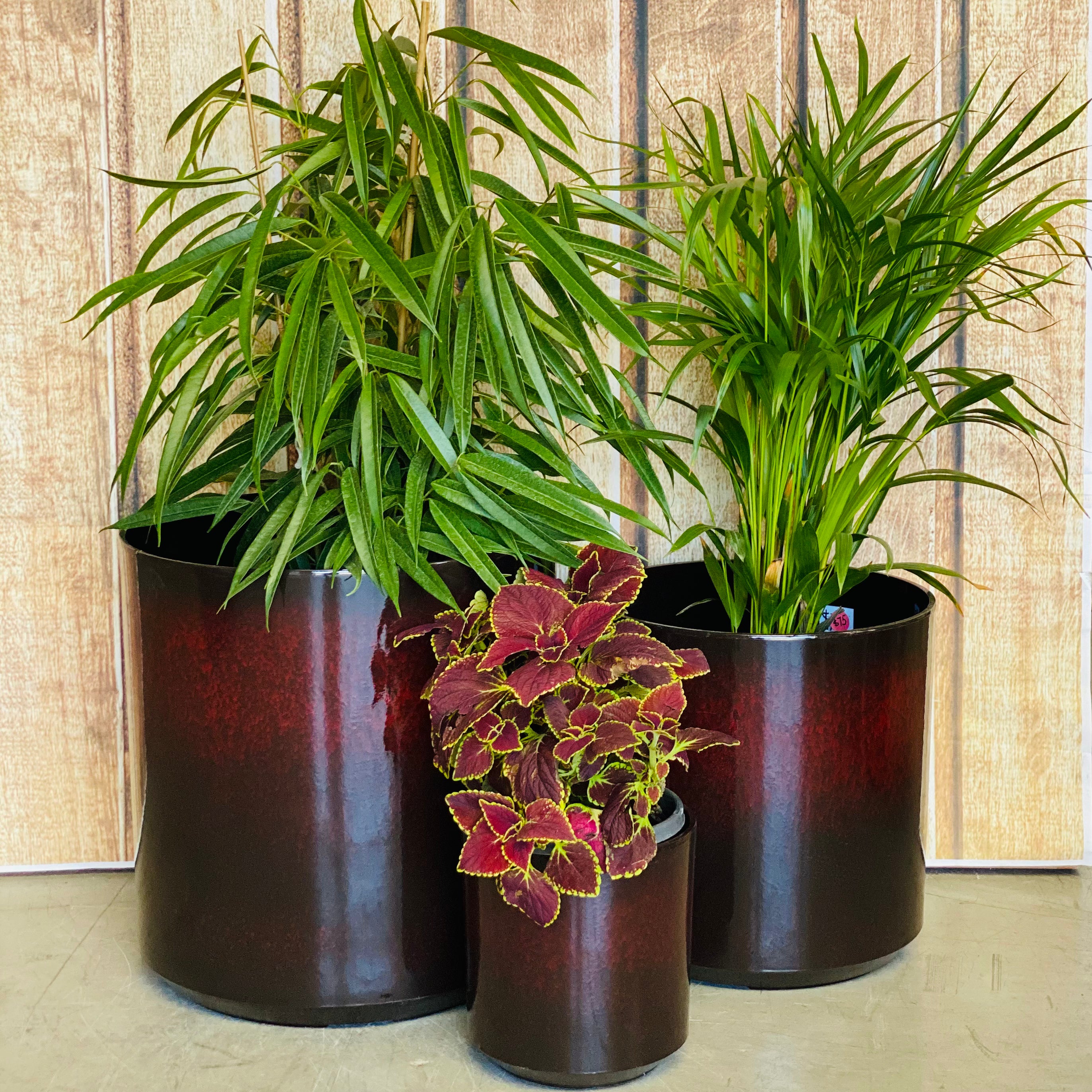 6071 Cylinder Glazed Pot Medium - round cylinder glazed lightweight pot