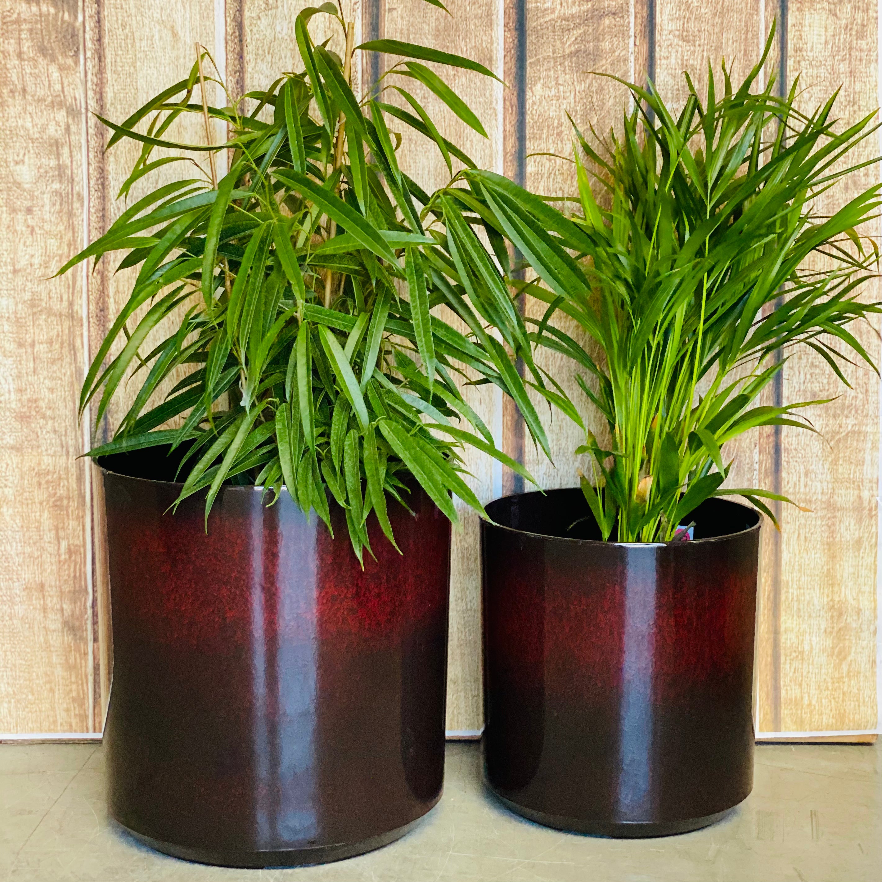 6071 Cylinder Glazed Pot Small - lightweight glazed composite pot