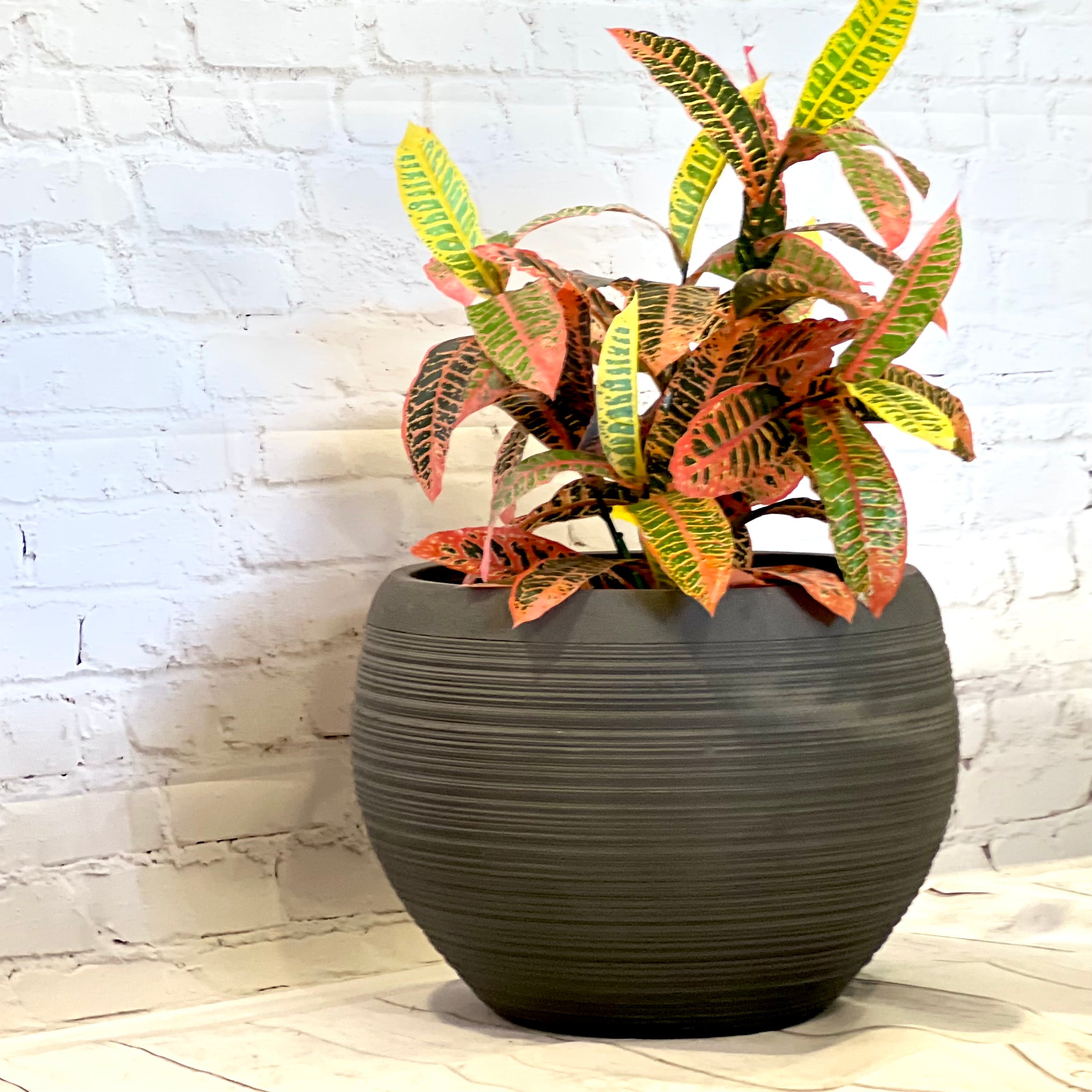 Indoor or Outdoor Round Pot with Brushed Texture in Lightweight Fiberglass Clay -2231