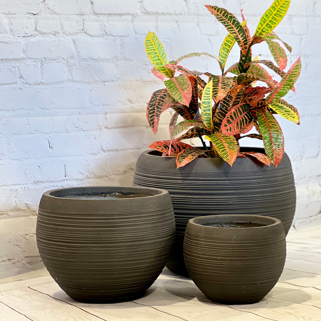 ARTISAN Spherical Indoor or Outdoor Round Pot with Brushed Texture in Lightweight Fiberglass Clay -2231