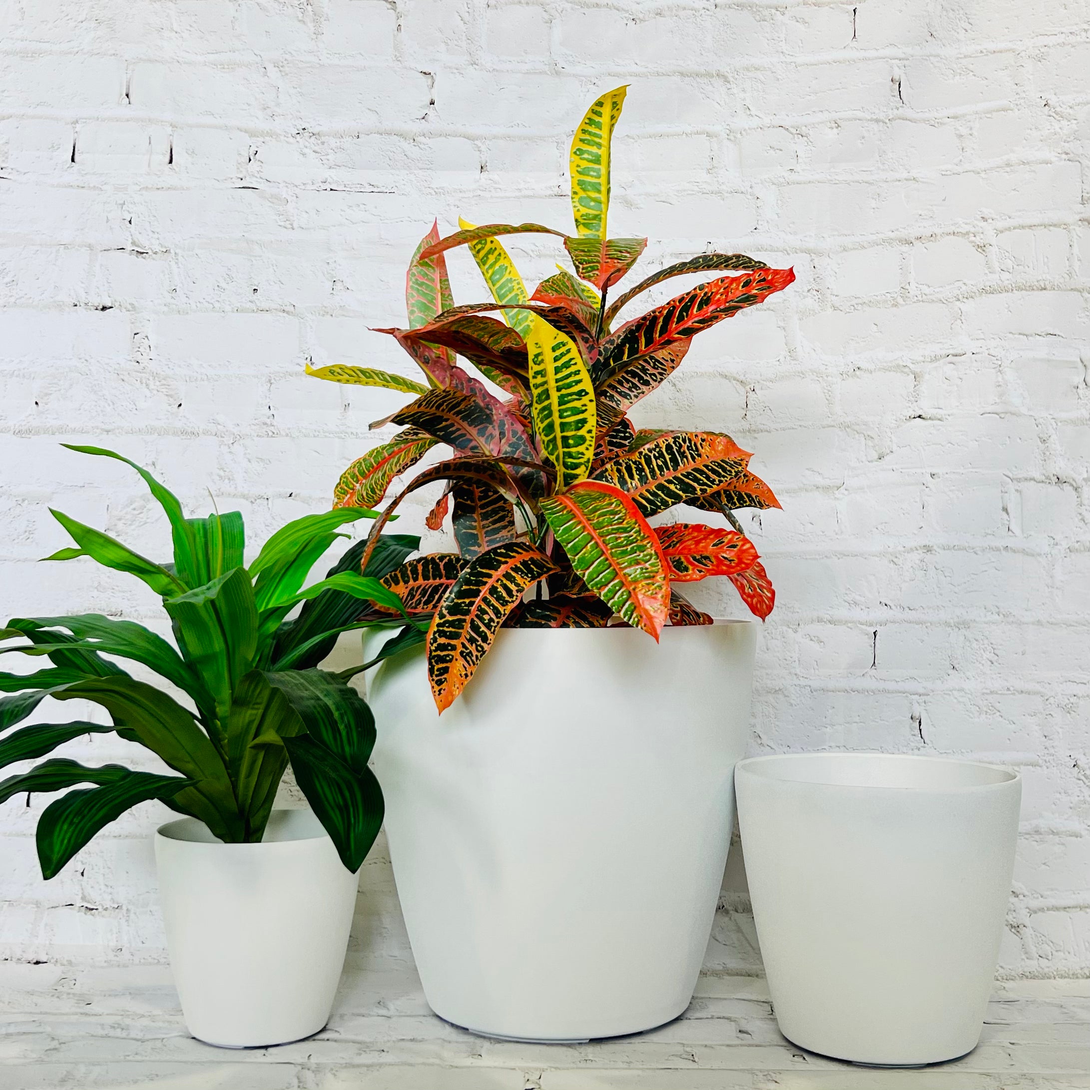 2001 Maxi Pot Clay Rust Medium - lightweight smooth pot